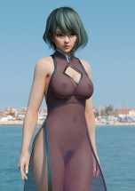 Tamaki in a See Through Dress (RadiantEld) [Dead or Alive] 8 - Hentai Arena