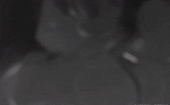 Jill Valentine - sucking a Bio organic weapon's dick (Dizzy3D) [Resident Evil] 5 - Hentai Arena
