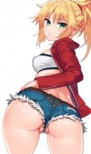two-full-moons-one-in-the-night-sky-the-other-in-the-bedroom-mordred-fate-grand-order.jpg