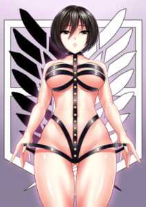 mikasa-once-more-in-some-amazing-lingerie.jpg