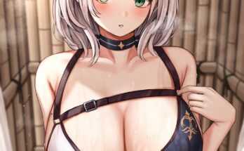 Shirogane Noel (dodon gadon) [Hololive]