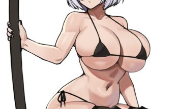 2B(donburikazoku)[NieR: Automata]