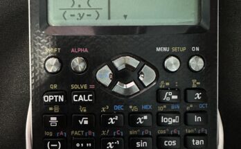 Calculator lady [calculator]