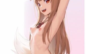 Holo wolf goddess (kawakami_rokkaku) [Spice and Wolf]