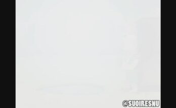 Link's adventure pt 2 - Sonia, Mineru, Zelda (Suoiresnu) [The Legend of Zelda]