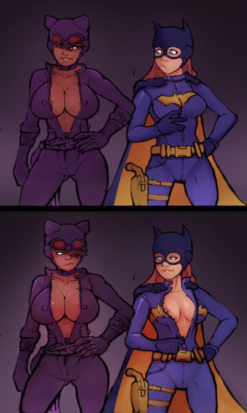 (Markydaysaid) Batgirl and Catwoman zipper [DC]