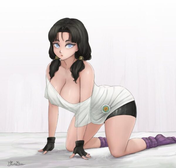 Videl(Dismaiden)[Dragon Ball]