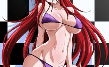 Rias-gremory [Highschool DxD]