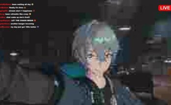 wisegaming stream accident [Zenless Zone Zero] (shirukinsfw)